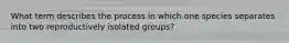 What term describes the process in which one species separates into two reproductively isolated groups?