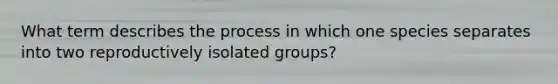 What term describes the process in which one species separates into two reproductively isolated groups?