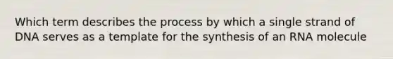 Which term describes the process by which a single strand of DNA serves as a template for the synthesis of an RNA molecule