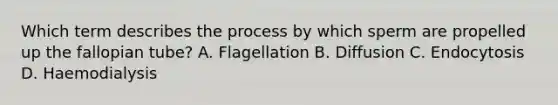 Which term describes the process by which sperm are propelled up the fallopian tube? A. Flagellation B. Diffusion C. Endocytosis D. Haemodialysis