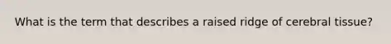 What is the term that describes a raised ridge of cerebral tissue?
