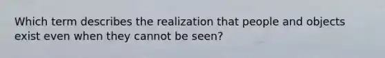 Which term describes the realization that people and objects exist even when they cannot be seen?