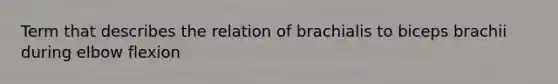 Term that describes the relation of brachialis to biceps brachii during elbow flexion