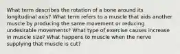 What term describes the rotation of a bone around its longitudinal axis? What term refers to a muscle that aids another muscle by producing the same movement or reducing undesirable movements? What type of exercise causes increase in muscle size? What happens to muscle when the nerve supplying that muscle is cut?