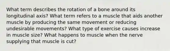 What term describes the rotation of a bone around its longitudinal axis? What term refers to a muscle that aids another muscle by producing the same movement or reducing undesirable movements? What type of exercise causes increase in muscle size? What happens to muscle when the nerve supplying that muscle is cut?