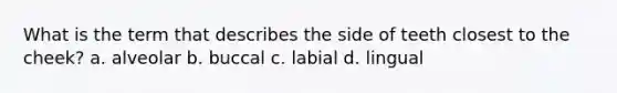 What is the term that describes the side of teeth closest to the cheek? a. alveolar b. buccal c. labial d. lingual