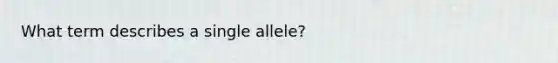 What term describes a single allele?