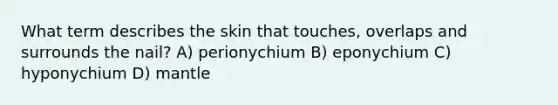 What term describes the skin that touches, overlaps and surrounds the nail? A) perionychium B) eponychium C) hyponychium D) mantle