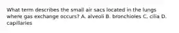 What term describes the small air sacs located in the lungs where gas exchange​ occurs? A. alveoli B. bronchioles C. cilia D. capillaries