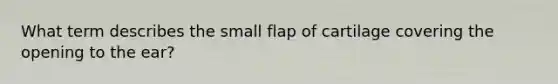 What term describes the small flap of cartilage covering the opening to the ear?