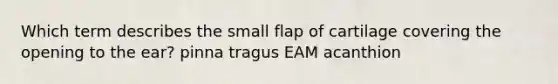 Which term describes the small flap of cartilage covering the opening to the ear? pinna tragus EAM acanthion