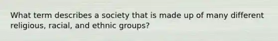 What term describes a society that is made up of many different religious, racial, and ethnic groups?