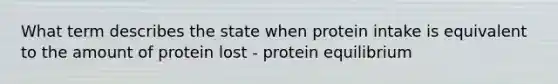 What term describes the state when protein intake is equivalent to the amount of protein lost - protein equilibrium