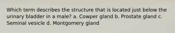 Which term describes the structure that is located just below the urinary bladder in a male? a. Cowper gland b. Prostate gland c. Seminal vesicle d. Montgomery gland