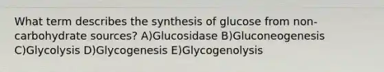 What term describes the synthesis of glucose from non-carbohydrate sources? A)Glucosidase B)Gluconeogenesis C)Glycolysis D)Glycogenesis E)Glycogenolysis