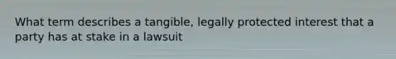 What term describes a tangible, legally protected interest that a party has at stake in a lawsuit