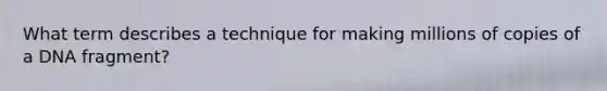 What term describes a technique for making millions of copies of a DNA fragment?