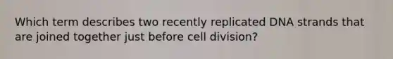 Which term describes two recently replicated DNA strands that are joined together just before cell division?