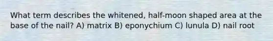 What term describes the whitened, half-moon shaped area at the base of the nail? A) matrix B) eponychium C) lunula D) nail root