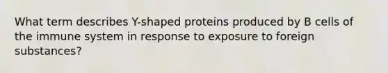 What term describes Y-shaped proteins produced by B cells of the immune system in response to exposure to foreign substances?