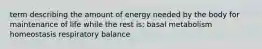 term describing the amount of energy needed by the body for maintenance of life while the rest is: basal metabolism homeostasis respiratory balance