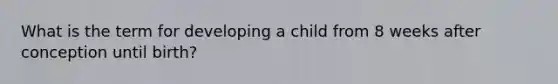 What is the term for developing a child from 8 weeks after conception until birth?