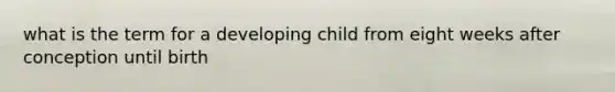 what is the term for a developing child from eight weeks after conception until birth