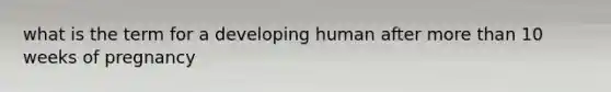 what is the term for a developing human after more than 10 weeks of pregnancy