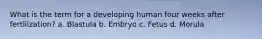 What is the term for a developing human four weeks after fertilization? a. Blastula b. Embryo c. Fetus d. Morula