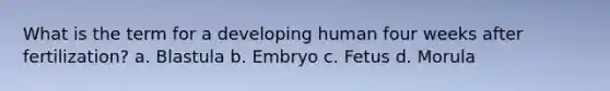 What is the term for a developing human four weeks after fertilization? a. Blastula b. Embryo c. Fetus d. Morula