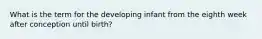 What is the term for the developing infant from the eighth week after conception until birth?