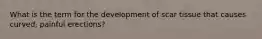 What is the term for the development of scar tissue that causes curved, painful erections?