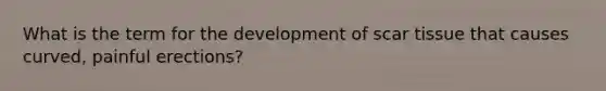 What is the term for the development of scar tissue that causes curved, painful erections?