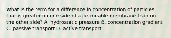 What is the term for a difference in concentration of particles that is greater on one side of a permeable membrane than on the other side? A. hydrostatic pressure B. concentration gradient C. passive transport D. active transport