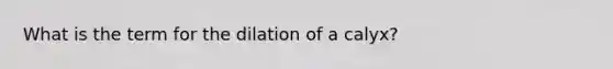 What is the term for the dilation of a calyx?