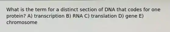 What is the term for a distinct section of DNA that codes for one protein? A) transcription B) RNA C) translation D) gene E) chromosome