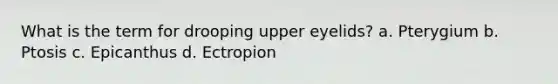 What is the term for drooping upper eyelids? a. Pterygium b. Ptosis c. Epicanthus d. Ectropion