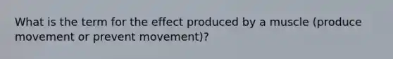 What is the term for the effect produced by a muscle (produce movement or prevent movement)?