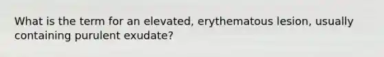 What is the term for an elevated, erythematous lesion, usually containing purulent exudate?