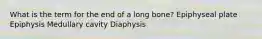 What is the term for the end of a long bone? Epiphyseal plate Epiphysis Medullary cavity Diaphysis