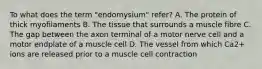 To what does the term "endomysium" refer? A. The protein of thick myofilaments B. The tissue that surrounds a muscle fibre C. The gap between the axon terminal of a motor nerve cell and a motor endplate of a muscle cell D. The vessel from which Ca2+ ions are released prior to a muscle cell contraction