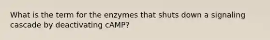 What is the term for the enzymes that shuts down a signaling cascade by deactivating cAMP?