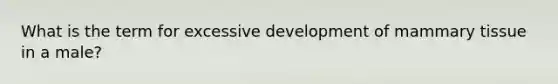 What is the term for excessive development of mammary tissue in a male?