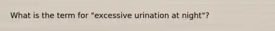 What is the term for "excessive urination at night"?