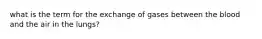 what is the term for the exchange of gases between the blood and the air in the lungs?
