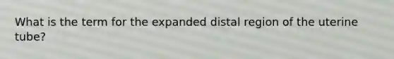 What is the term for the expanded distal region of the uterine tube?