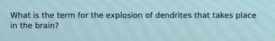 What is the term for the explosion of dendrites that takes place in the brain?