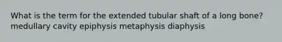 What is the term for the extended tubular shaft of a long bone? medullary cavity epiphysis metaphysis diaphysis