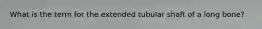 What is the term for the extended tubular shaft of a long bone?