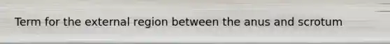 Term for the external region between the anus and scrotum